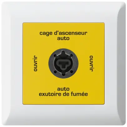Interruttore a chiave INS kallysto.line per estrattore fumi francese bianco 