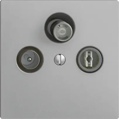 Prise d'antenne SAT/TV/R DB53 EDIZIOdue silver avec SAT-F 