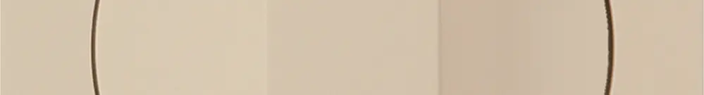 Contatto rotativo 1>0<2 beige kallysto con manopola 