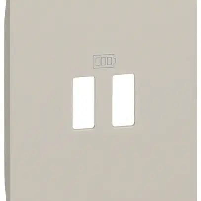 Cache Living Now 2 modules pour prise USB type A sand 