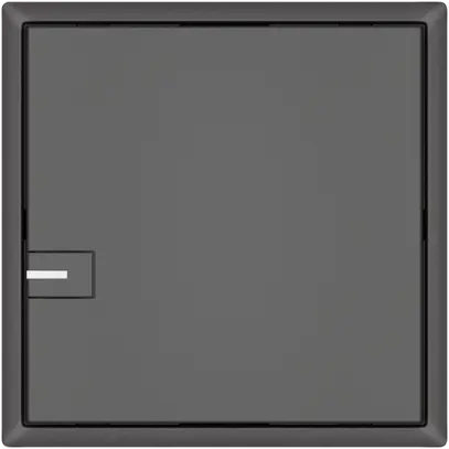 Poussoir KNX RGB EDIZIO.liv SNAPFIX® capteur temp.RGB-LED 1× comm.1T grf 