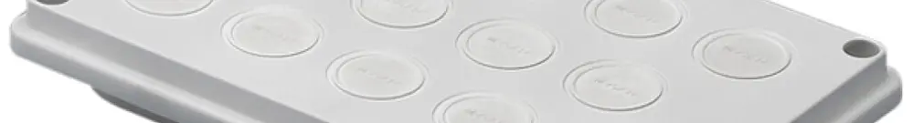 Passe-câbles Rittal SV 9665.750 250×160mm matière synthétique membrane 