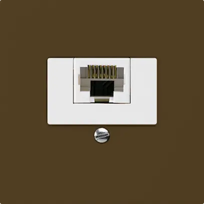 Scatola INC kallysto 1×RJ45u marrone 