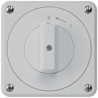Contatto rotativo INC robusto IP55 grigio 2P per combinazione 