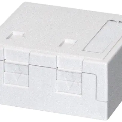 Boîte de raccordement AP KS Dätwyler blanc pour 2 modules avec pr.antipoussière 