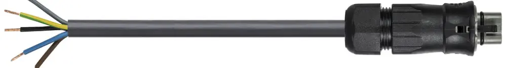 Cavo di allacciamento Wieland RST25I5KS-S 60S 20BG03 2m 5L 6mm² grigio cemento 