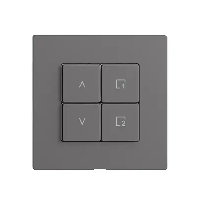Comando per interruttore tapparelle 1c scena/4t Edue Wiser grigio scuro 