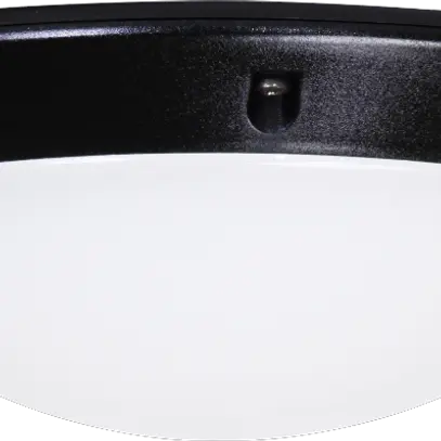 Plafonnier/applique Legrand Chartres T1 E27 75W IP55 Ø296×95mm noir 