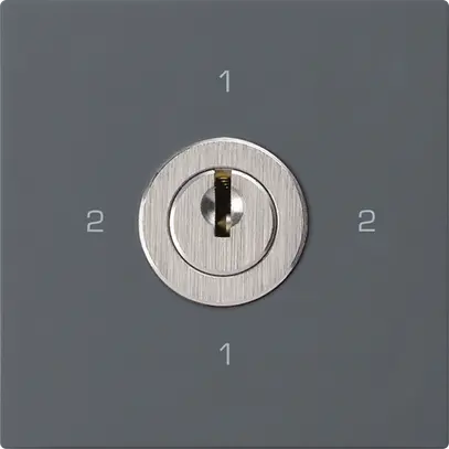 Intérieur interrupteur à clé kallysto 3/1L anthracite avec serrure Kaba 8 