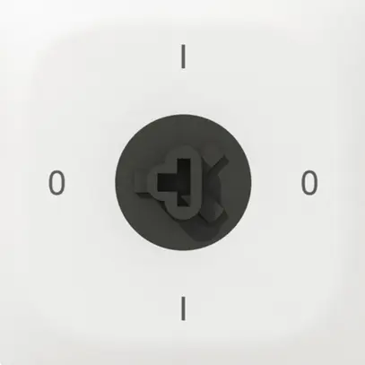 Interruttore rotativo INC SIDUS E 0/2L SS bianco 