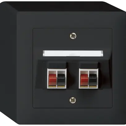 Prise AP audio kallysto 2×noir borne à étrier pour 2 haut-parleurs 