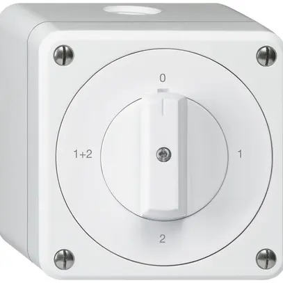 Interruttore rotativo AP robusto IP55 schema 1/1P bianco 