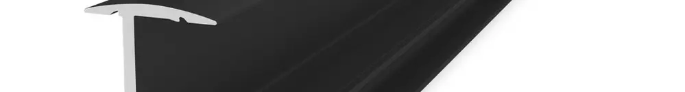 InsertionRail 2.0 - 30; 5.70 m noir  