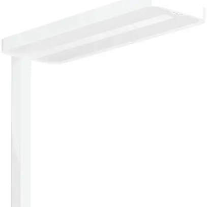 Piantana LED Philips SmartBalance FS484F LED120S/830 PSD-T MLOACLCCH bianco 