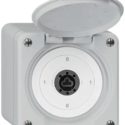 Interrupteur à clé AP robusto IP55 avec clapet sans cylindre S0/1P gris 