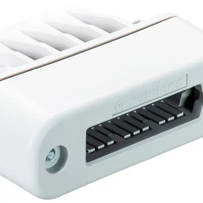Terminale Wieland podis per cavo piatto IP65 grigio chiaro 