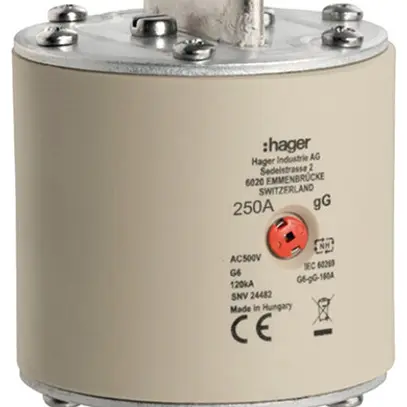 Fusible HPC Hager SEV G6 500V AC 250A gG voyant central 