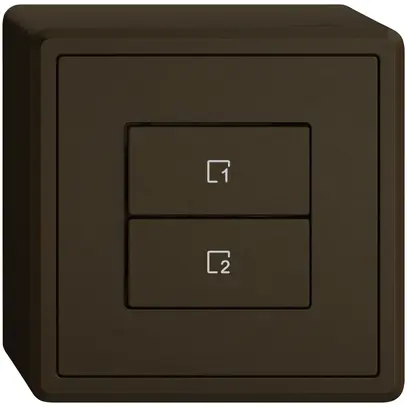 Poussoir scènes AP EDIZIO.liv Wiser SNAPFIX® 2 scènes 2 touches WLAN br 