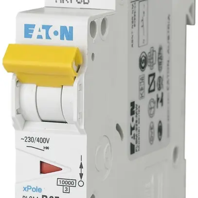 Disjoncteur PLSM-C25 1L 