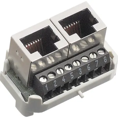 Interno RNIS R&M 2×RJ45/s 8P parallelo morsetti a vite, swissline 