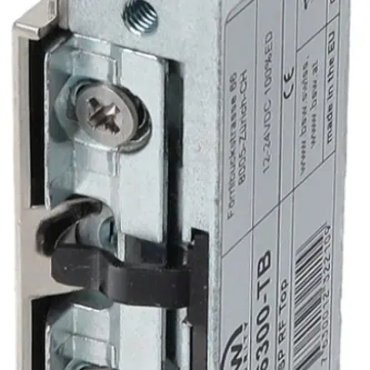 Türöffner BSW B6300-TB Ruhestrom Radiusfalle links/rechts 12…24V 
