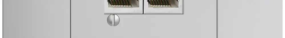 Scatola INS 2×RJ45/s 4P sep. EDIZIOdue R&M swissline grigio chiaro 