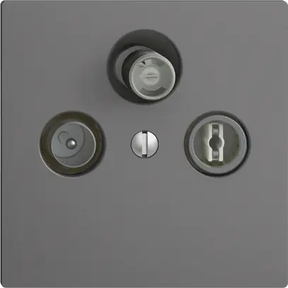 Prise d'antenne SAT/TV/R DB53 EDIZIOdue gris foncé avec SAT-F 