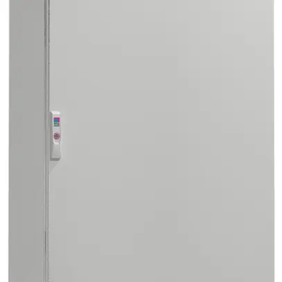 Armoire électrique Rittal SE 5823.600 800×2000×300mm IP55 IK10 acier gris 