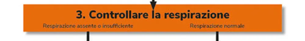 Panneau de premiers secours ELBRO 220×580mm italien 