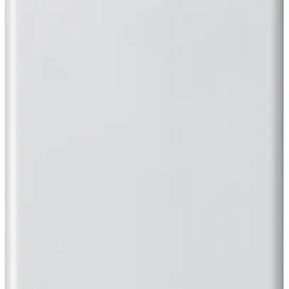 Abdeckplatte basico 2×1 ohne Bohrung weiss 