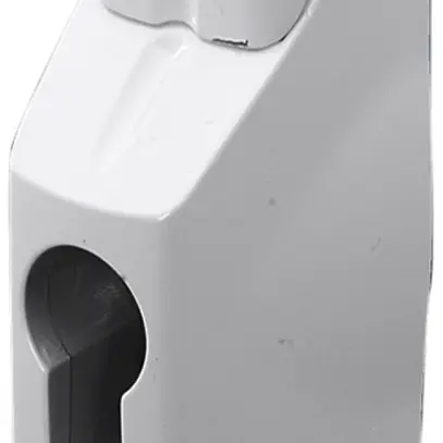 Poignée Rittal DK 7705.120 serrure à crémone (fermeture trois points) 