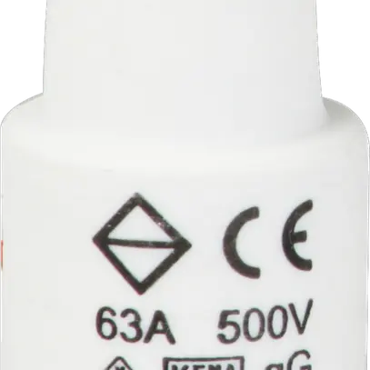 Fusibile D DTIII 63A 500V gG con indicatore 