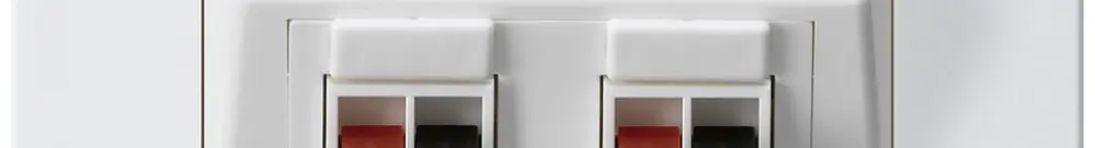 Prise ENC audio kallysto.pro 2× blanc borne à étrier pour 2 haut-parleurs 