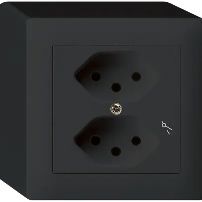 Prise AP kallysto 2×T13/1 noir 