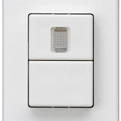 Poussoir double INC Hager FLF 10A/250V 0/1L 1× illuminé blanc 