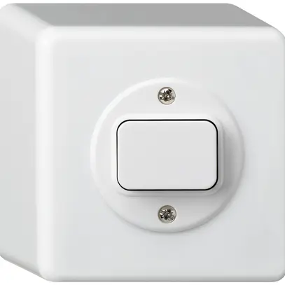 Interrupteur AP basico 3/2L blanc 