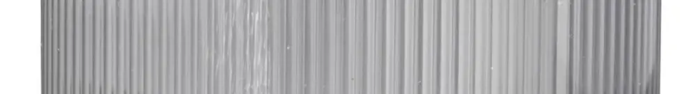 Élément lumineux Schneider Electric 250V 10W 