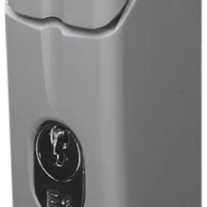 Poignée Rittal TS 8611.045 comfort pour TS/TS IT/SE/PC/IW avec cylindre E1 gris 