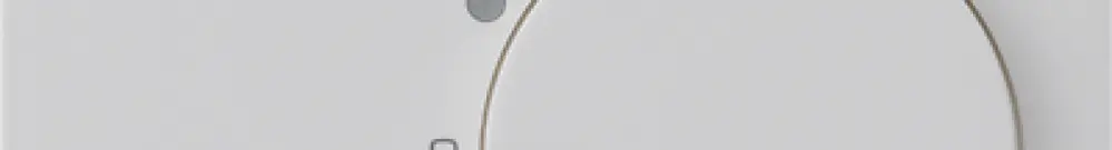 Termostato ambiente INC kallysto grigio chiaro senza interruttore 