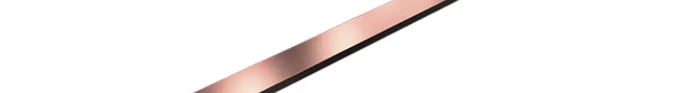 Conduttore piatto Rittal SV 9686.542 rame E-Cu 1100×40×10mm 2pz 
