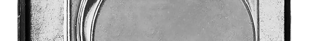 Scatola di derivazione INC bagn.16A 2.5mm² 500V 3LNPE Al pallin. 