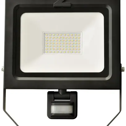 Projecteur LED Z-Licht ZL PIR 50W 5000lm 4000K IK8 IP54 noir 