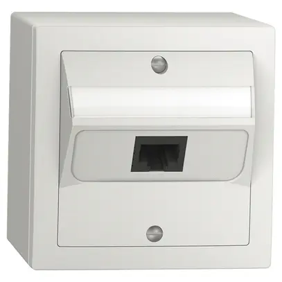 Boîte de raccordement AP SIDUS 1×RJ45 blanc 