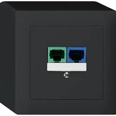 AP-Dose DSL kallysto 2×RJ45 schwarz 
