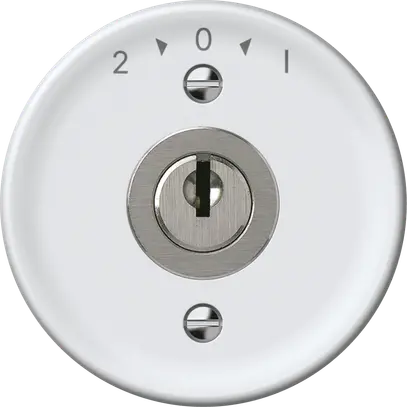 Pulsante rotativo origin con cilindro 1P 2>0<1 10A 230V 60×60mm bianco 