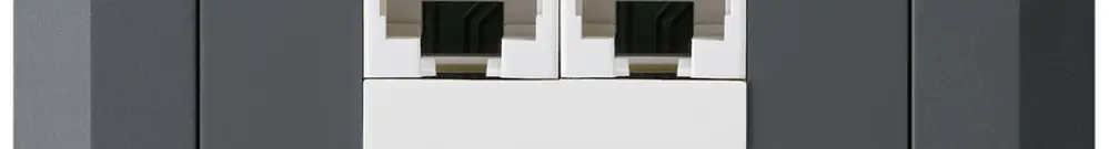 UP-Dose kallysto.line 2×RJ45u parallel anthrazit 