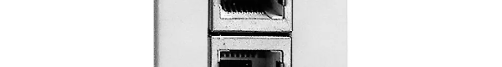 Scatola di raccordo INS FLF 2×RJ45 separato, bianco 
