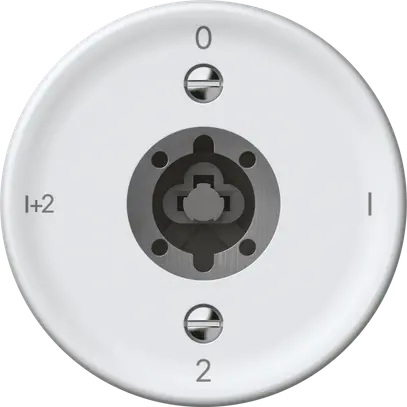 Interruttore a chiave origin comm.serie 1/1L 16A 250V 0-1-2-1+2 60×60mm bi 