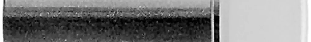 Endkappe PS 200 schwarz 