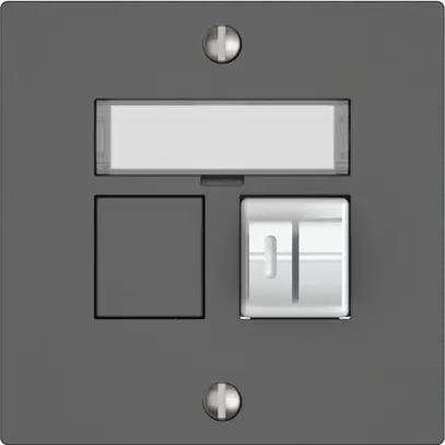 Prise audio EDIZIO.liv SNAPFIX® 1× grf 
